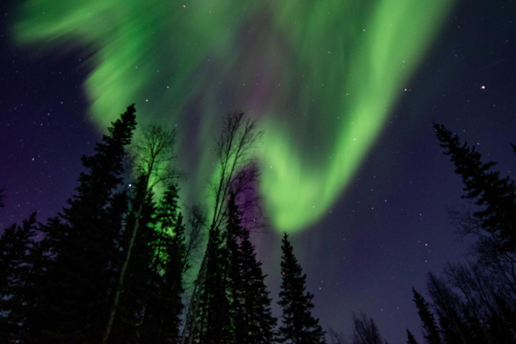 Riverside Log Cabin On-Site Aurora Viewing! North Pole المظهر الخارجي الصورة
