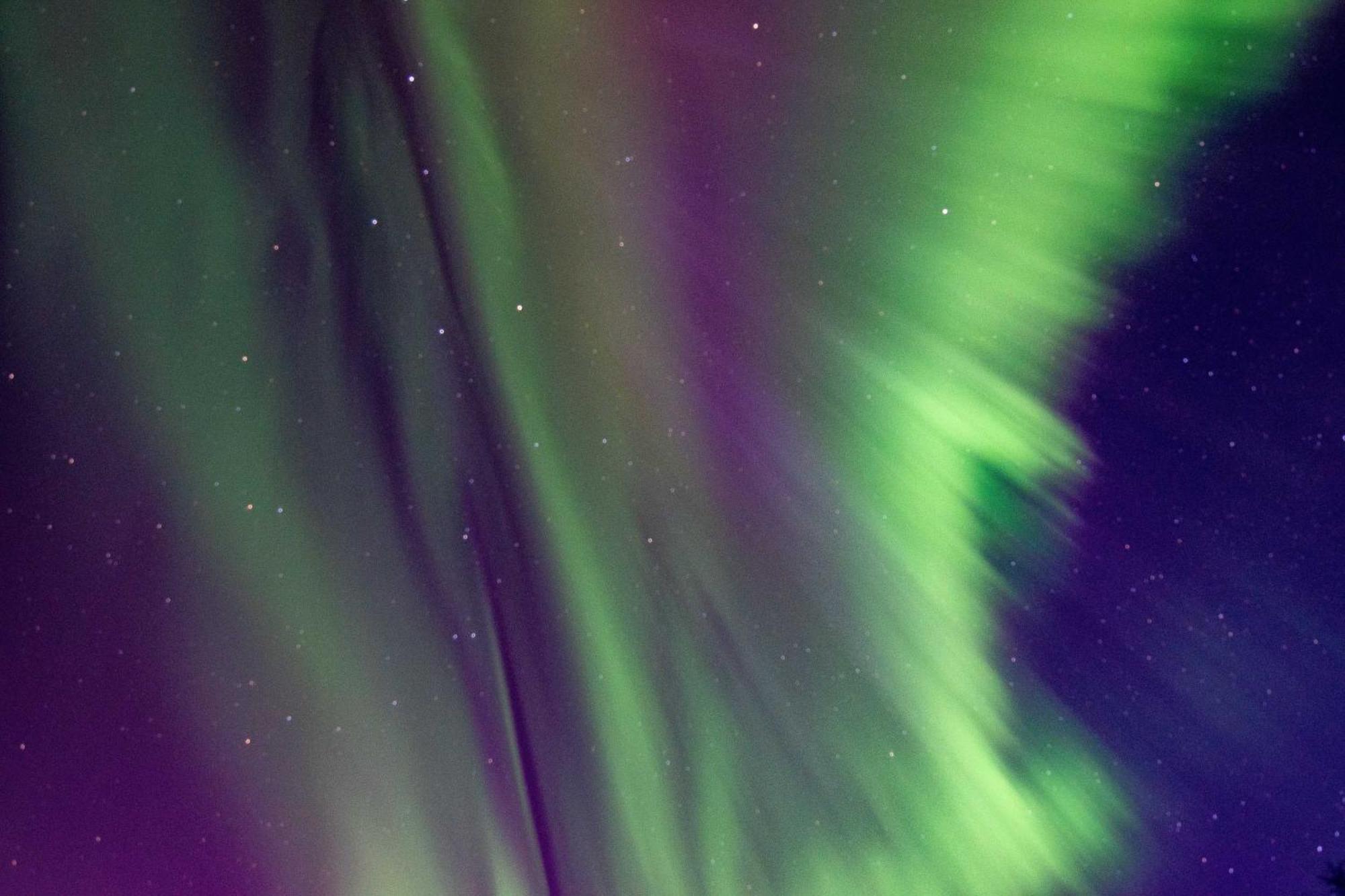 Riverside Log Cabin On-Site Aurora Viewing! North Pole المظهر الخارجي الصورة